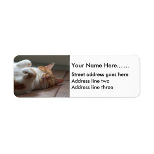 Cute cat sleeping Return Address Labels
