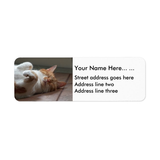 Cute cat sleeping Return Address Labels (Front)