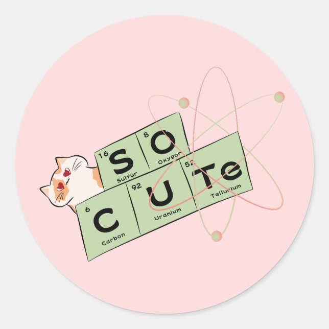 Cute Cat Sticker  (Front)