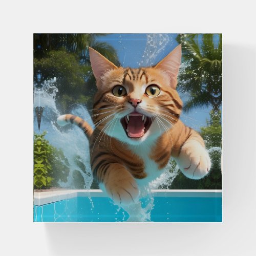 Cute Cat Swimming Diving in Pool Funny Paperweight