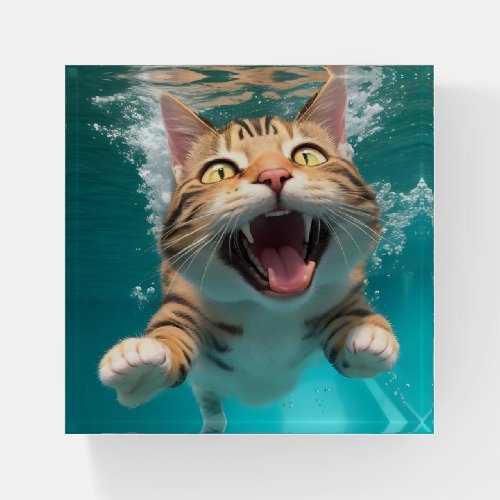 Cute Cat Swimming Diving Underwater in Pool Funny Paperweight