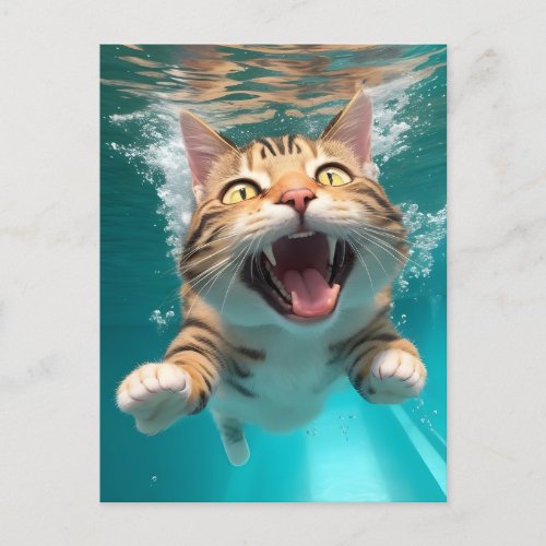 Cute Cat Swimming Diving Underwater in Pool Funny Postcard