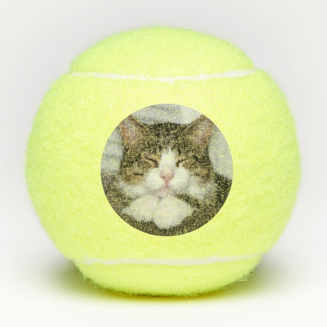 Cute Cat Tennis Balls (Front)
