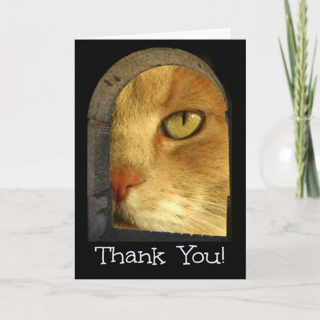 Cute Cat Thank You For Pet Sitting Card (Front)
