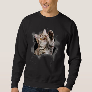Cute Cat Torn Cloth For Cat Cat Mom Cat Dad Sweatshirt