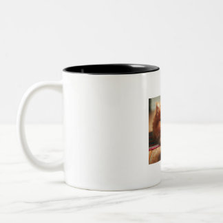 Cute Cat Two-Tone Coffee Mug