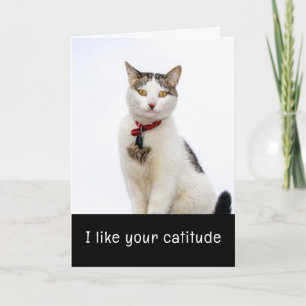 Cute Cat Valenitne's Day Card