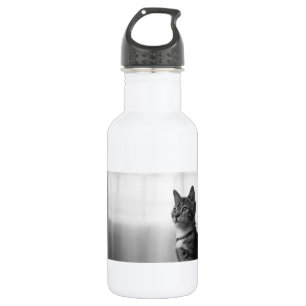 Cute Cat Water Bottle