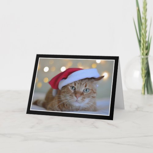Cute Cat Wearing a Santa Hat Christmas Card