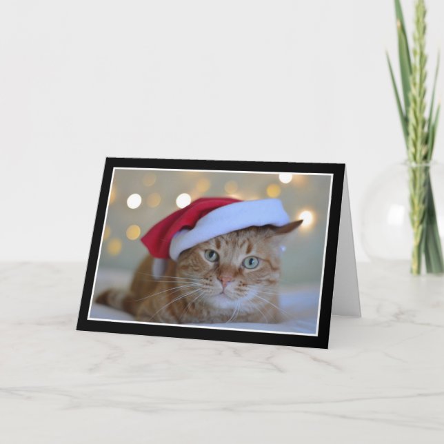 Cute Cat Wearing a Santa Hat Christmas Card (Front)