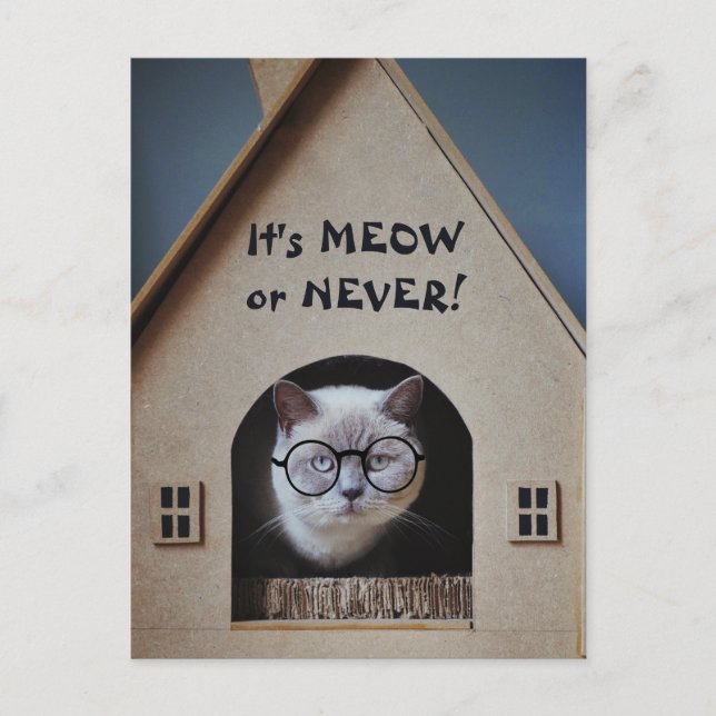 Cute Cat Wearing Glasses It's Meow or Never Quote Postcard (Front)