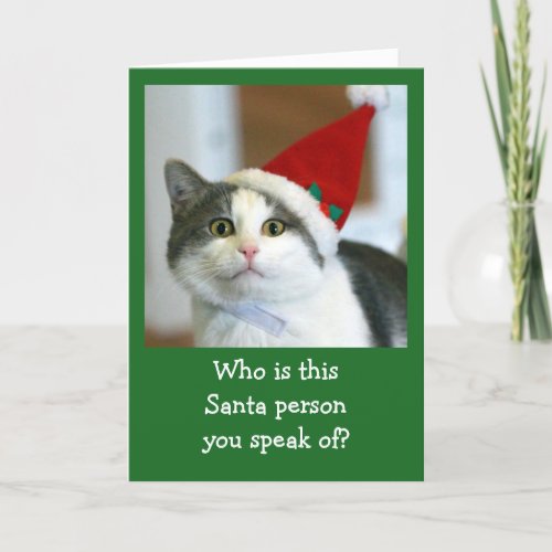 Cute Cat Wearing Santa Hat Holiday Card