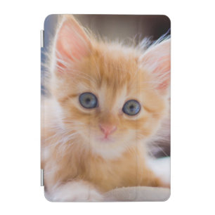 Cute Cat With Blue Eyes iPad Mini Cover