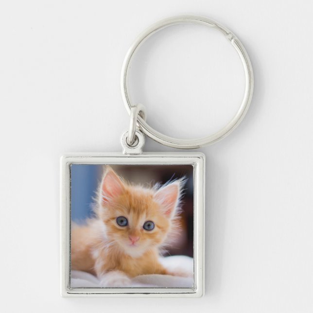 Cute Cat With Blue Eyes Keychain (Front)