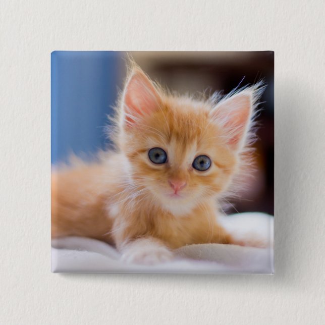Cute Cat With Blue Eyes Pinback Button (Front)