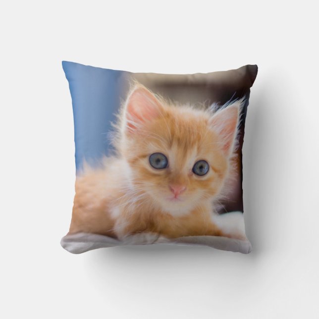 Cute Cat With Blue Eyes Throw Pillow (Front)