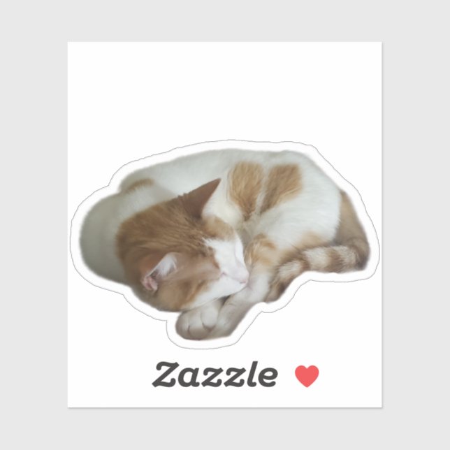 Cute Cat with Broken Heart Sticker (Sheet)