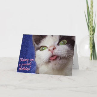 Cute Cat (with customizable text) Card