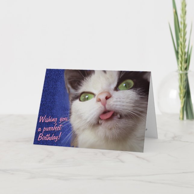 Cute Cat (with customizable text) Card (Front)