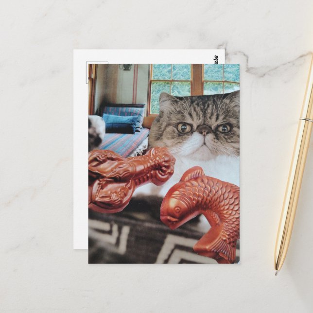 Cute Cat With Lobster and Fish Collage Postcard (Front/Back In Situ)