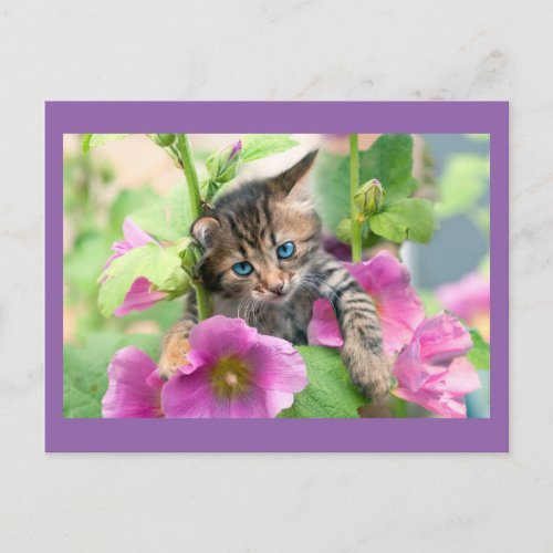 Cute Cat with Pink Flowers Postcard