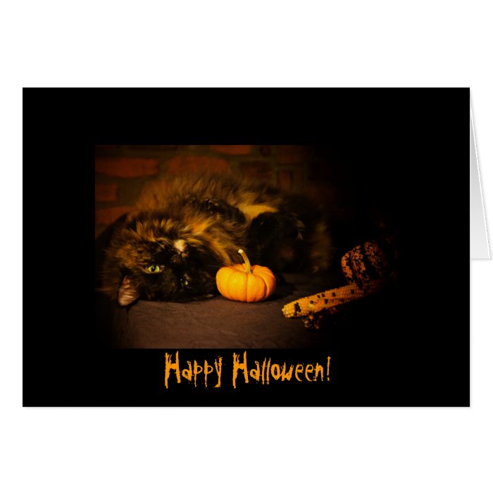 Cute Cat With Pumpkin   Happy Halloween Greeting Cards