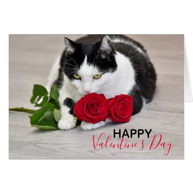 Cute cat with the red rose cards (Front Horizontal)