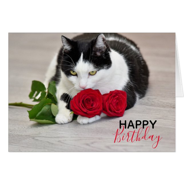 Cute cat with the red rose cards (Front Horizontal)