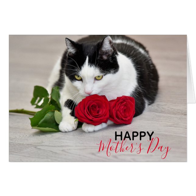 Cute cat with the red rose cards (Front Horizontal)