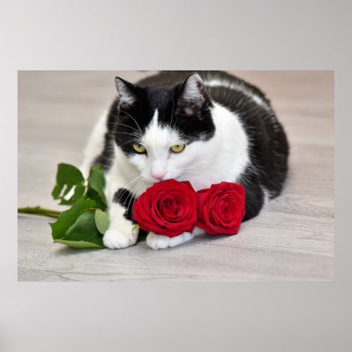 Cute cat with the red rose poster