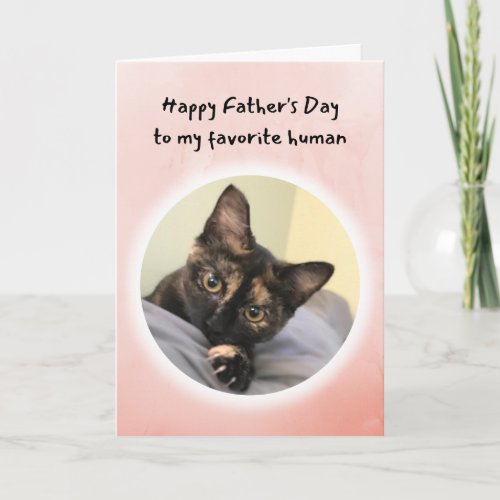 Cute Cat Youre My Favorite Human Fathers Day Card