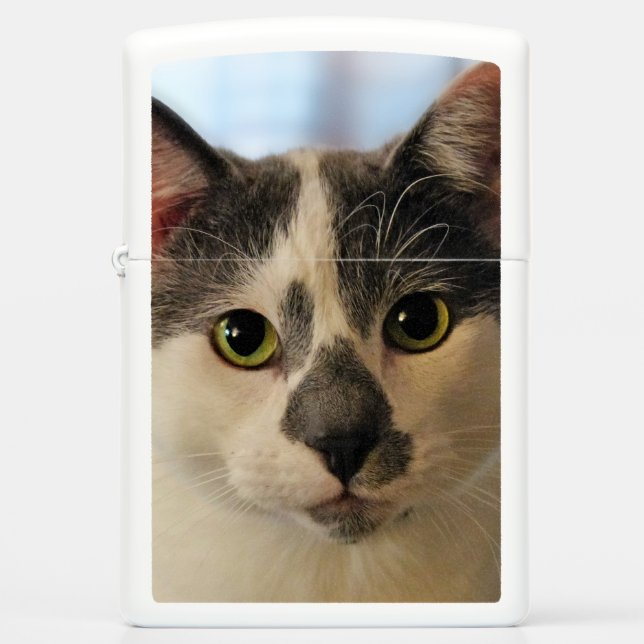 Cute Cat Zippo Lighter (Front)