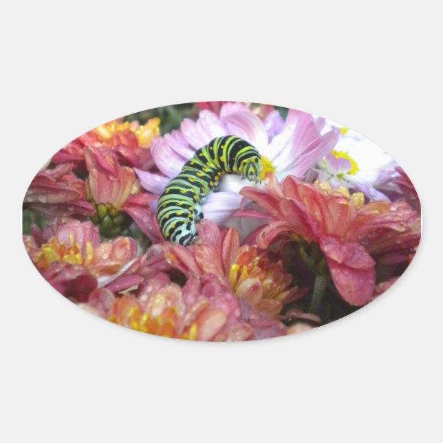 Cute Caterpillar Stickers (Front)