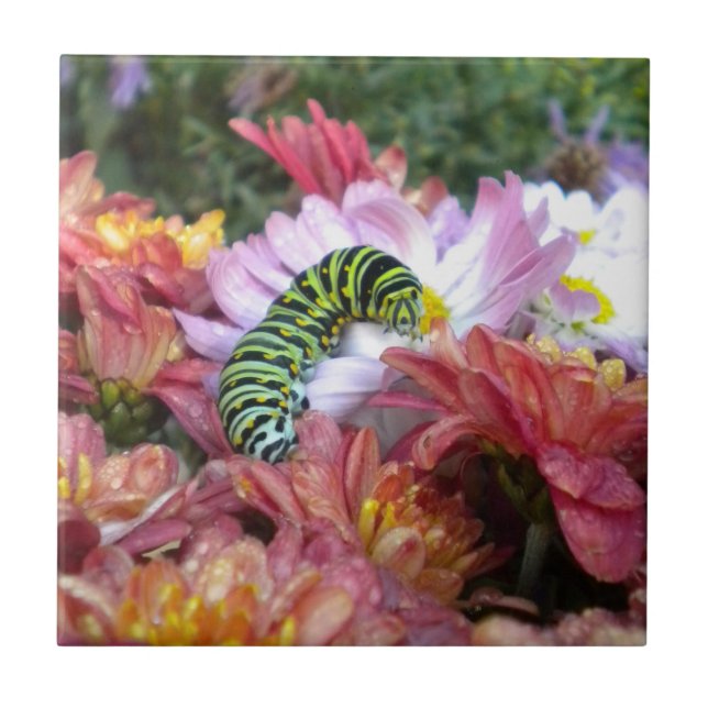 Cute Caterpillar Tile Trivet (Front)
