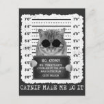 Cute Catnip Made Me Do It Cat Mugshot Postcard<br><div class="desc">Cute Catnip Made Me Do It Cat Mugshot Shirt,  Funny Cat Gift / Xmas Gift / Merry Christmas / Happy Holidays / Family Matching Standard Postcard Classic Collection.</div>