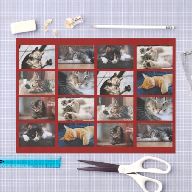Cute Cats and Kittens Photo Template on Dark Red Tissue Paper (Craft)
