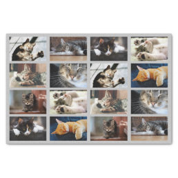 Cute Cats and Kittens Photo Template on Gray Tissue Paper