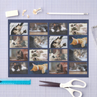 Cute Cats and Kittens Photo Template on Navy Blue Tissue Paper