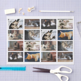 Cute Cats and Kittens Photo Template on White Tissue Paper