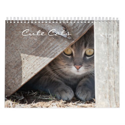 Cute Cats Calendar