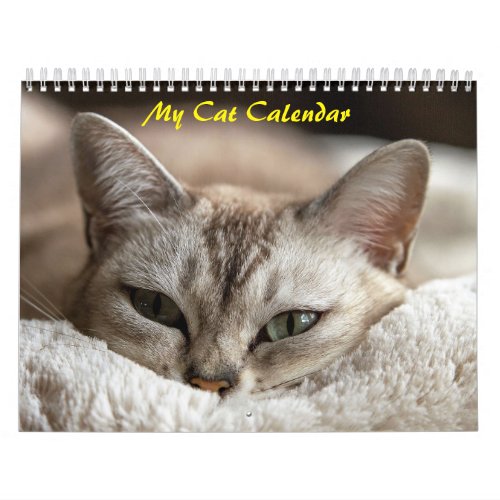 Cute Cats Calendar