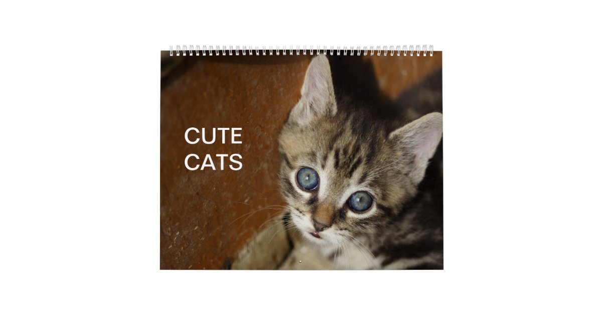 Cute Cats Calendar