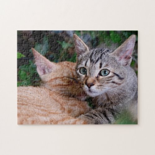 Cute Cats  Cat Lovers  Jigsaw Puzzle