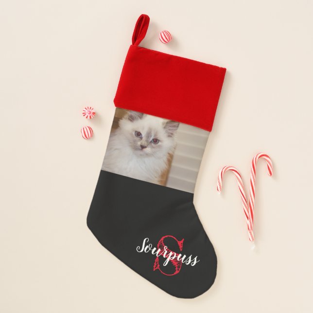 Cute Cat's Christmas Stocking with Photo & Name  (Front)