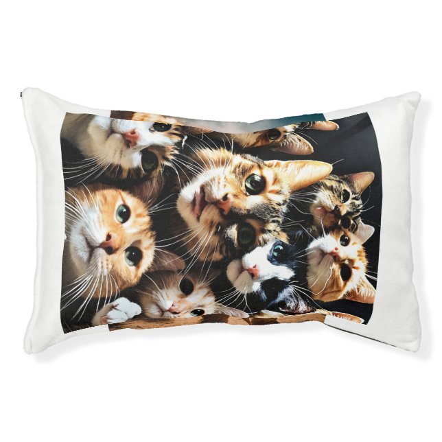 Cute cats friends in alone  pet bed (Front)