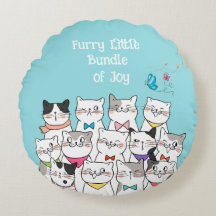 Cute Cats , Furry little Bundle of Joy