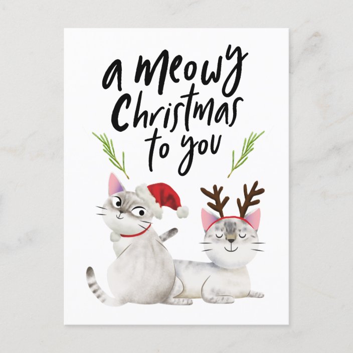 Cute Cats Meowy Christmas For You Holiday Postcard