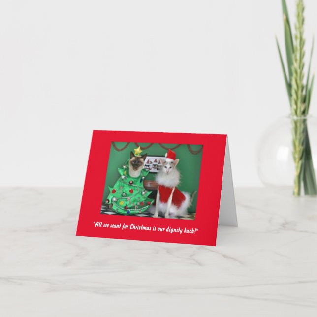 Cute Cats on a Purr-fect Christmas Card (Front)