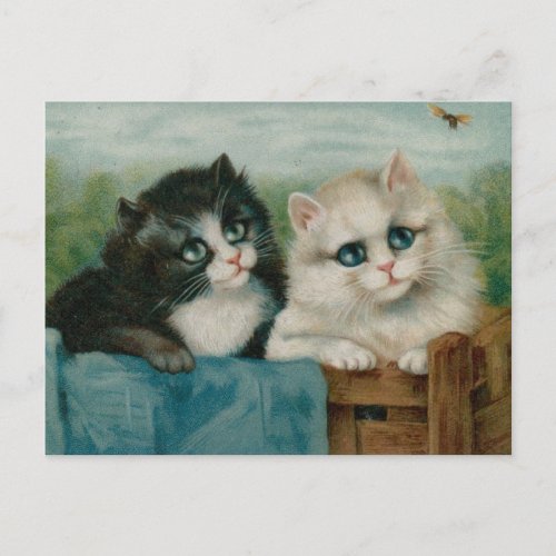 Cute Cats on the fence Postcard