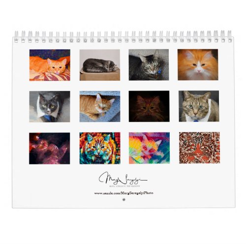 Cute Cats Photo Art Design 2024 Monthly Calendar